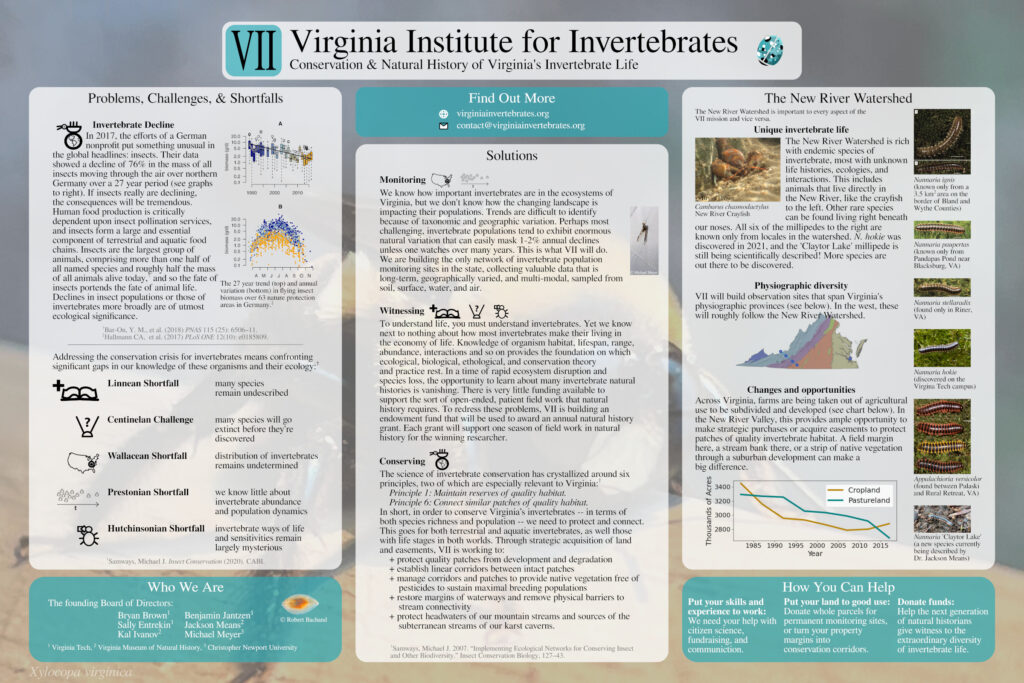 Image of a poster introducing the three-part mission of the Virginia Institute for Invertebrates and its relevance to the New River Valley.
